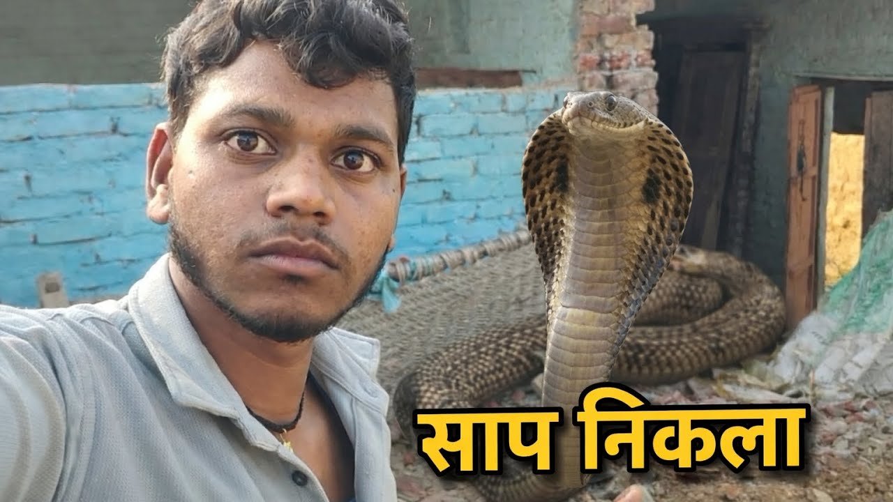  Purana Ghar Hatate Samay Saamp Nikale 😱 @souravjvlogs @anjuvlogsofficial-e8c 