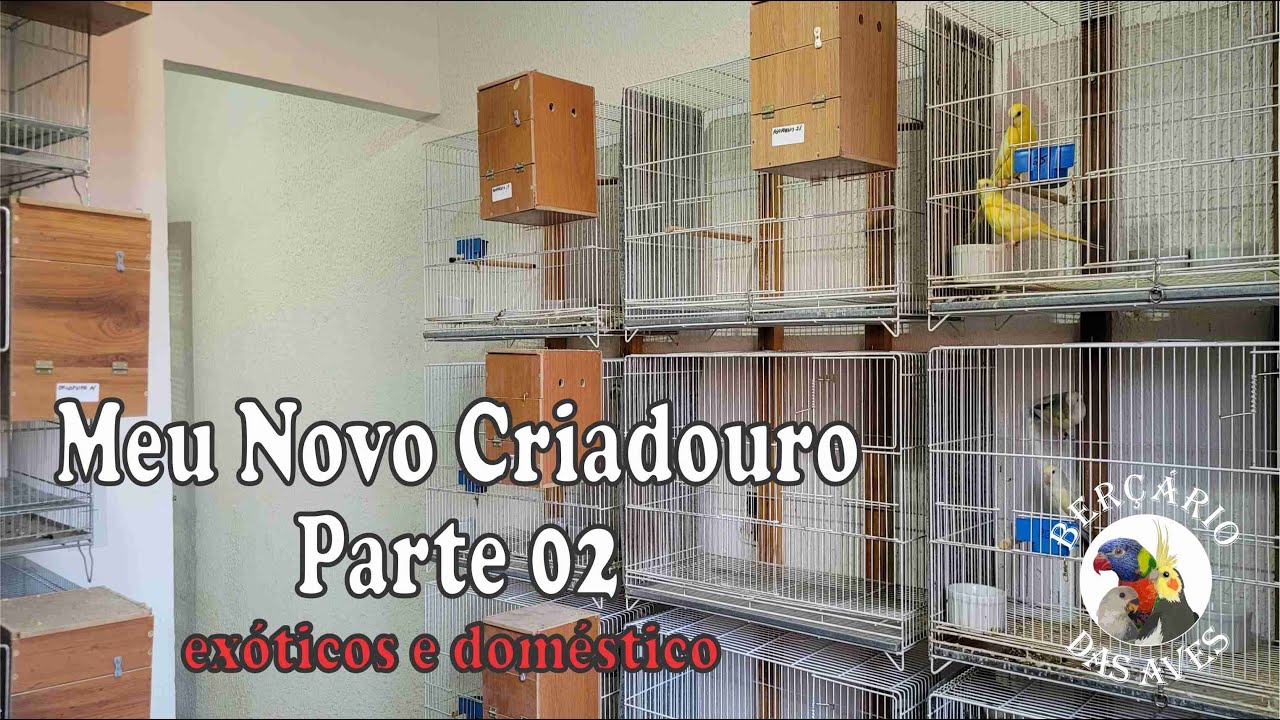 Meu Novo Criadouro - Parte 02