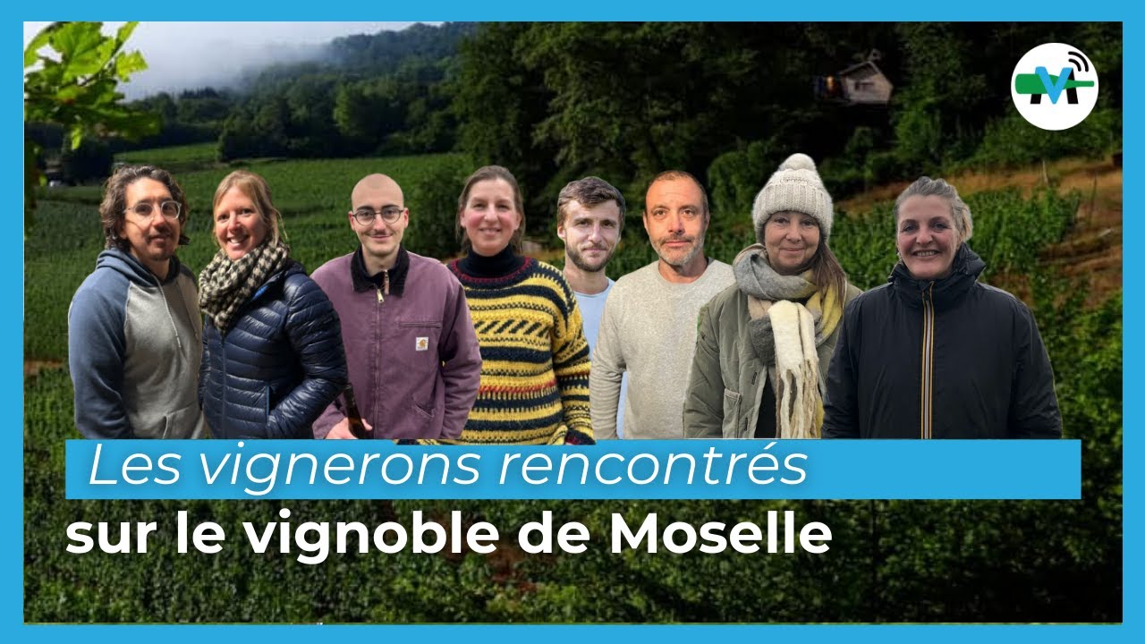 Les vignerons rencontrés en Moselle