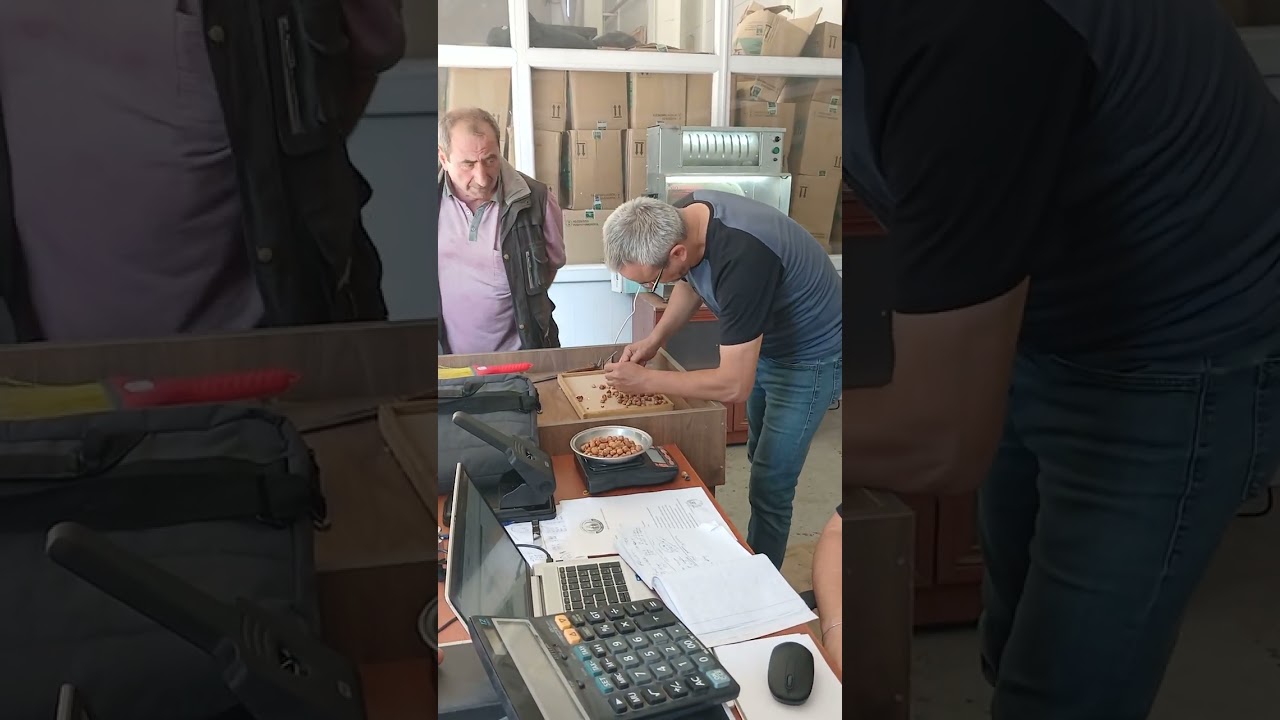 amcamın findik randıman  yapılması ve kontrol  edilmesi 50 randıman findik...