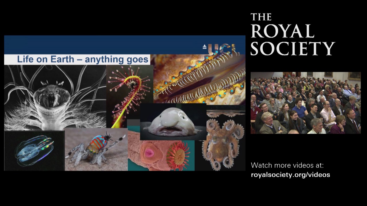 Why is life the way it is? Dr Nick Lane | The Royal Society