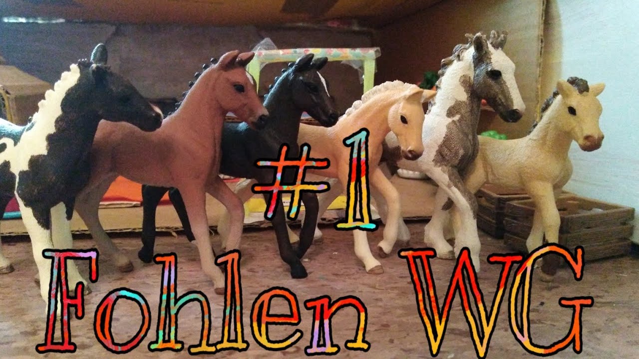Fohlen WG #1😍❤️💐💖