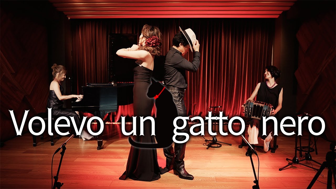 【Tango】Volevo un gatto nero ~黒ネコのタンゴ~
