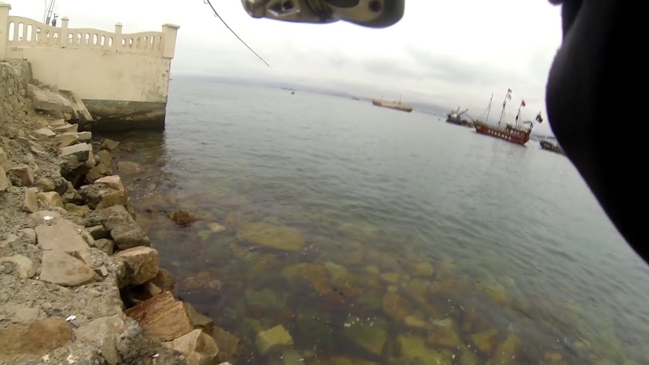 Volvieron los Monos al Waterpolo, buscando Jureles los encontramos - Coquimbo.