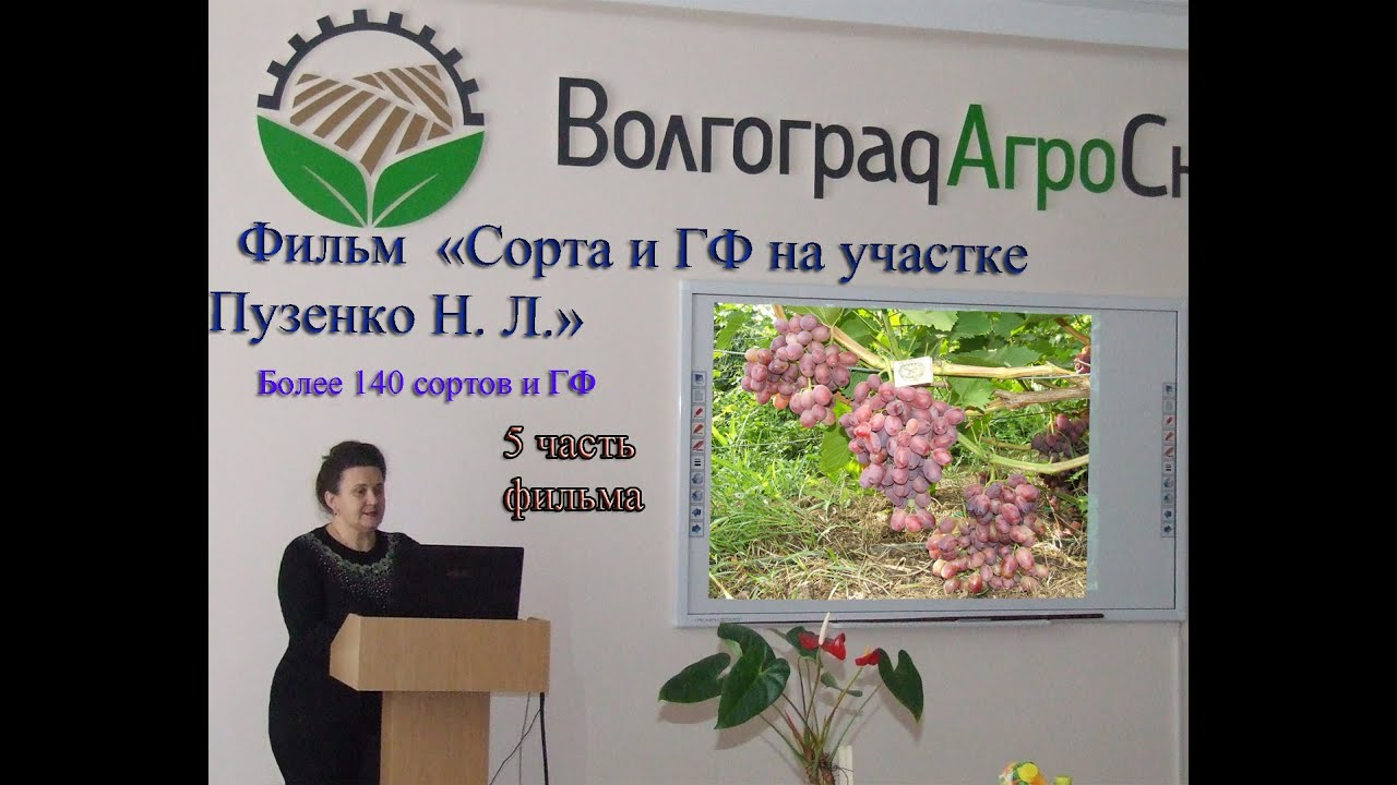 5 Часть фильма 