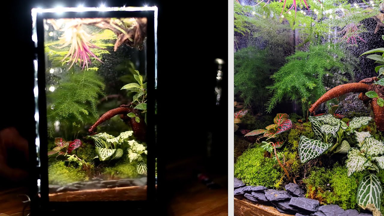 Transformer une lanterne en terrarium lumineux