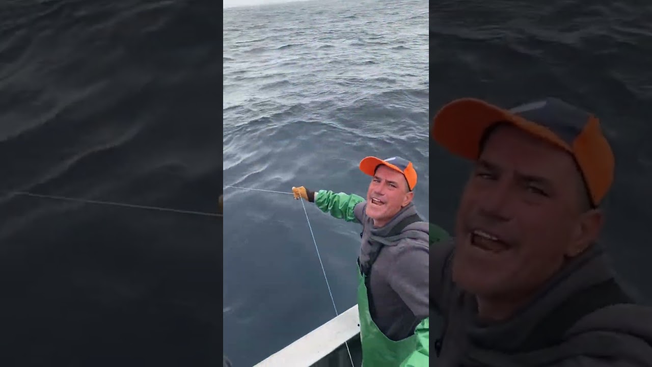 Pesca ao espadarte