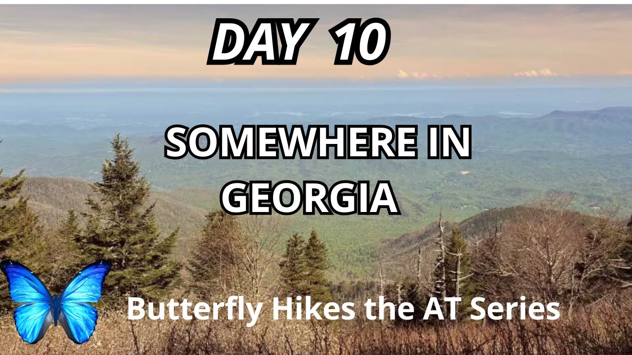 🦋 Day 10: Hiking the Appalachian Trail | Somewhere in Georgia