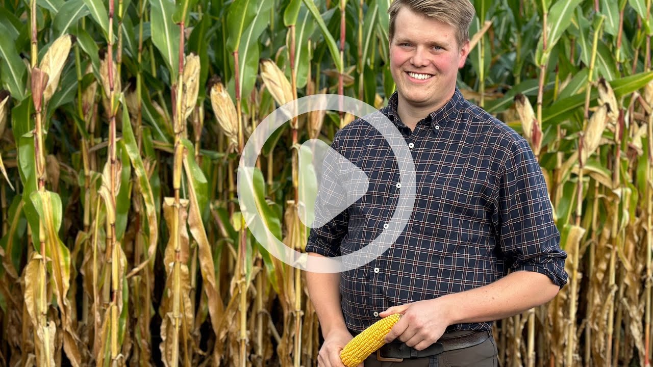 FarmersFriday: Mit TONIVIT für mehr Energie für die Kuh