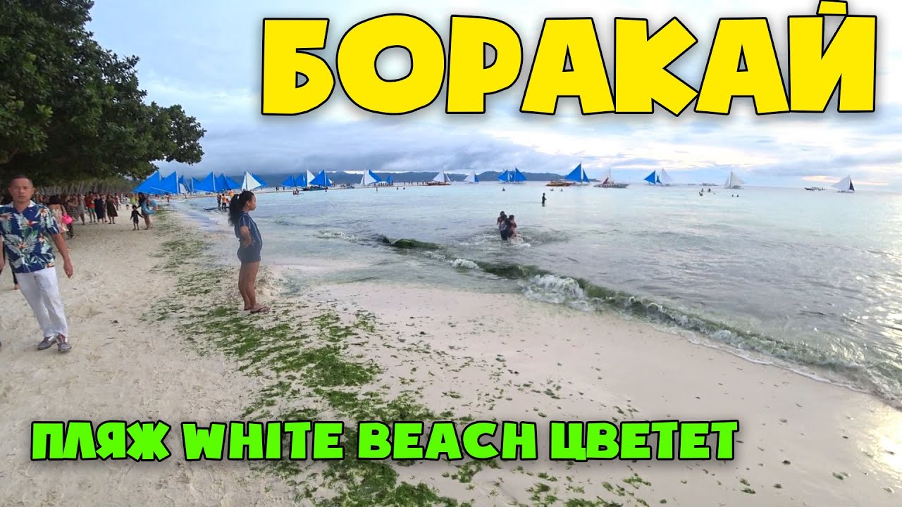 Филиппины Пляжи острова Боракай. Отель Sakura за 2200 рублей.