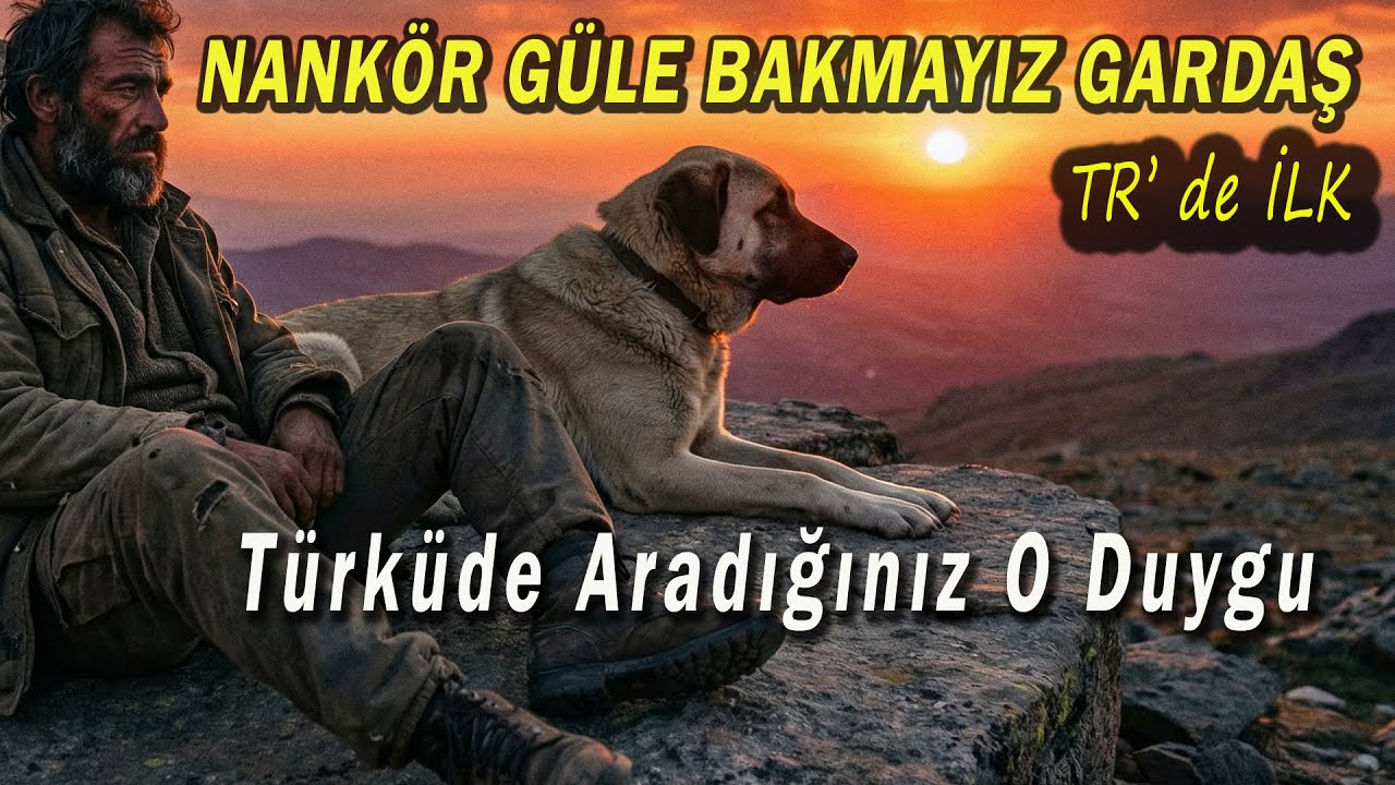 Nankör Güle Bakmayız Gardaş❤️YOK BÖYLE! TÜRKÜ!❤️ Müthiş  (2025 Senanka)