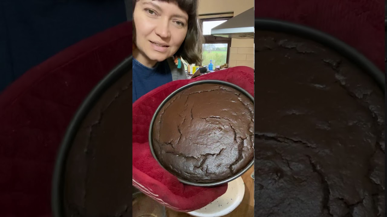 Flourless Black Bean Chocolate Cake