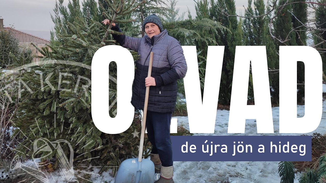 H&oacute;olvad&aacute;s a kertben &ndash; J&Ouml;N A HIDEG, de mi v&eacute;di meg a n&ouml;v&eacute;nyeinket?