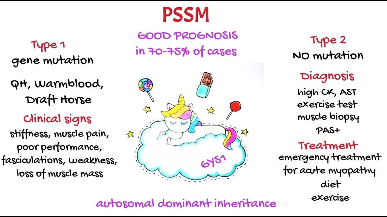 Polysaccharides storage myopathy - Vet students