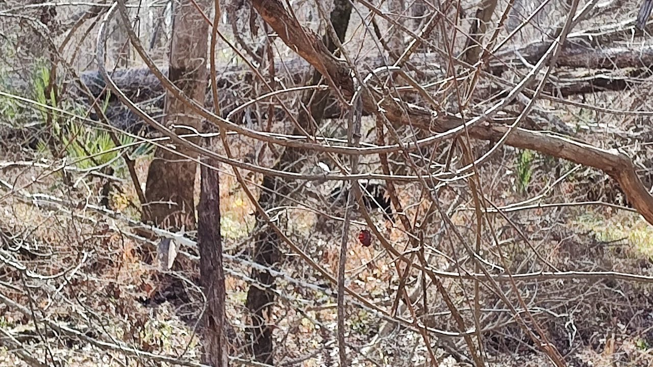 Три промаха!!!!