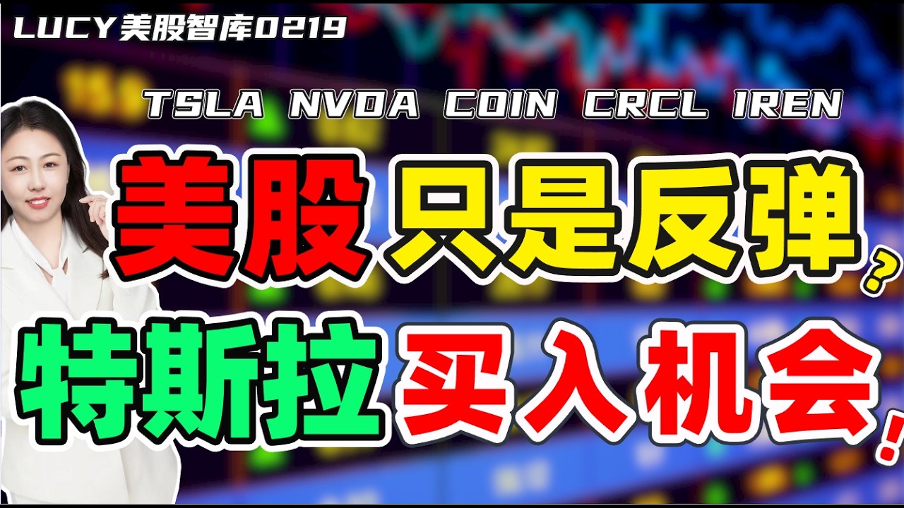 期权|美股|美股只是反弹行情？特斯拉已经出现买入机会，几时进场？#tsla #nvda #coin #crcl #iren #mu