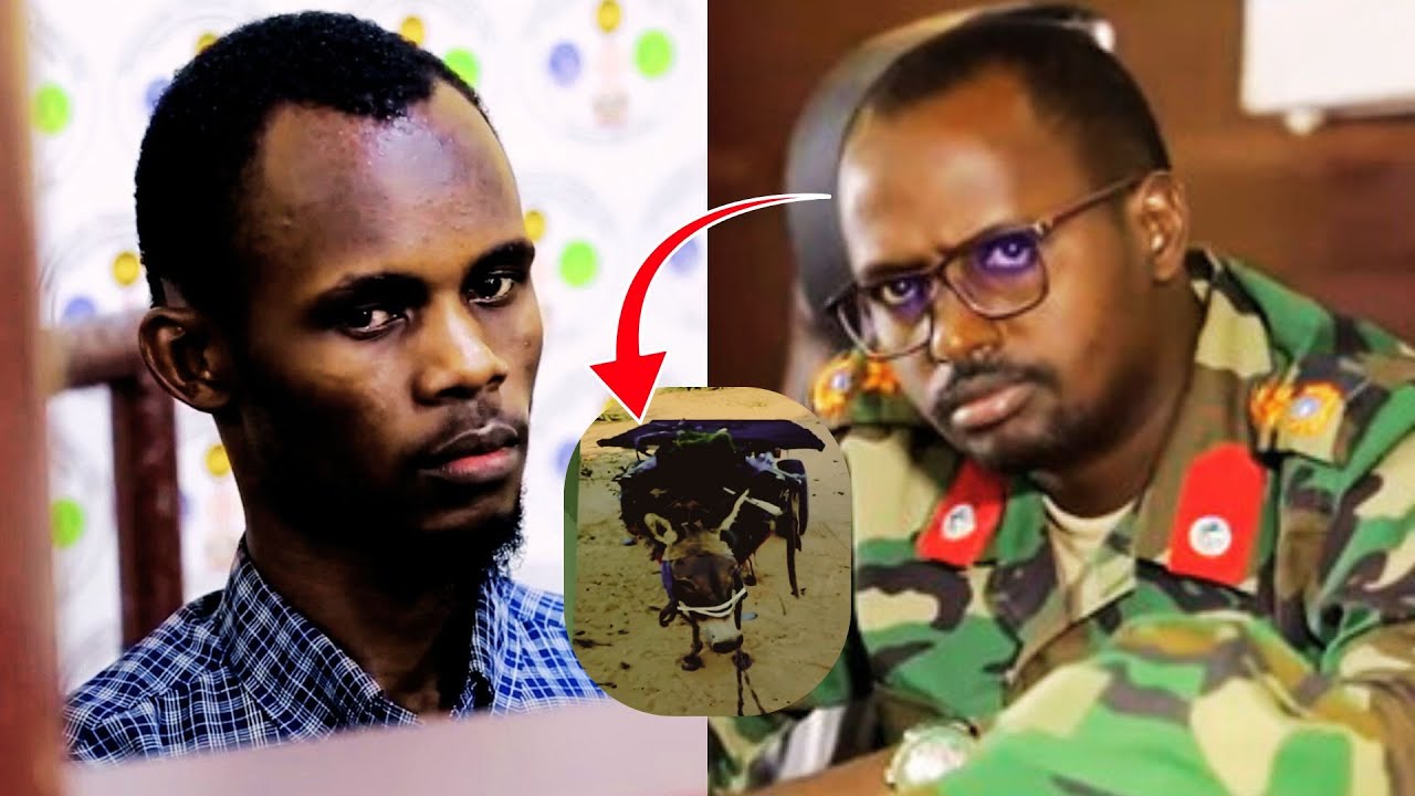 Waxaa loo balanqaaday $50K oo Dollar si uu Qarax wayn ugu Fasaxo oo dadka loogu halaago.