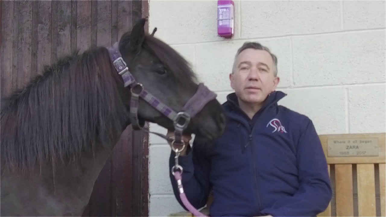 Equine Surgery Launch
