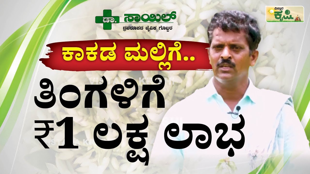 ಕಾಕಡ ಮಲ್ಲಿಗೆ ಹೂವಿನ ಕೃಷಿ | Jasmine Flower Cultivation | Vistara Krishi | ತಿಂಗಳಿಗೆ 1 ಲಕ್ಷ ರೂ. ಲಾಭ