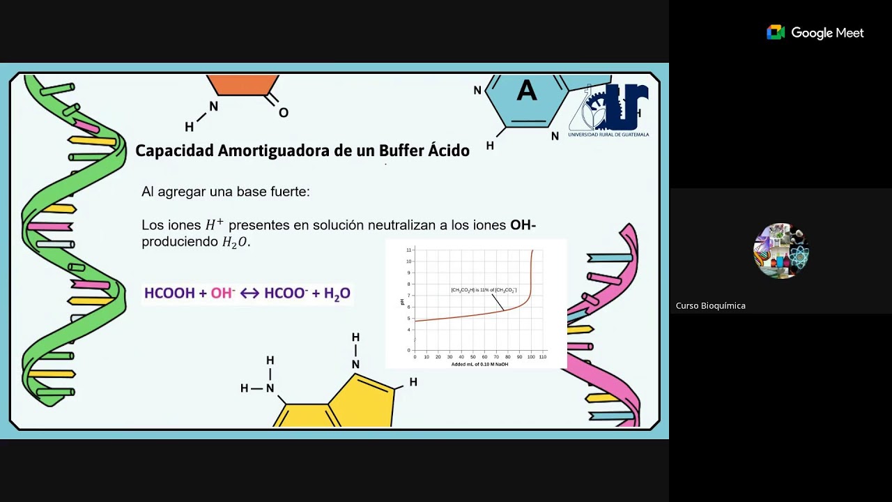 Clase 03 Domingo: Soluciones amortiguadoras