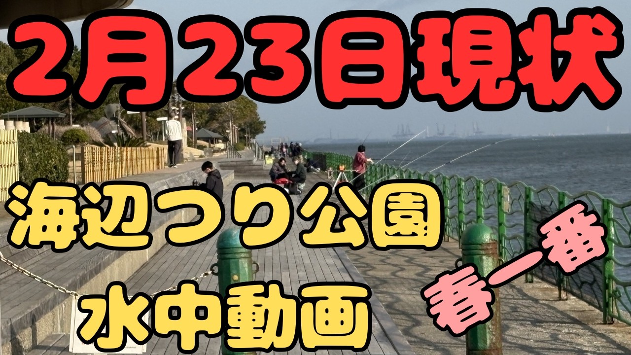 【海辺つり公園】　東京湾側　超人気釣りスポット　水中動画　釣りの参考に