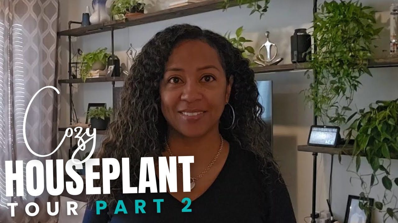 Cozy Houseplant Tour Part 2