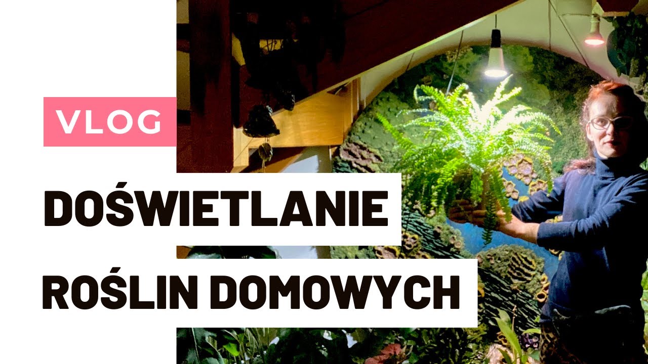 DOŚWIETLANIE roślin domowych. Jakie lampy dla roślin wybrać?