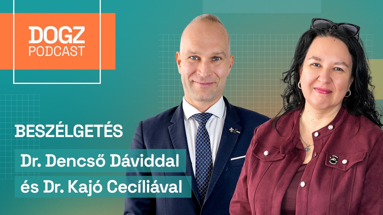 Láthatás és kutyatartási díj: mire vagy jogosult váláskor?