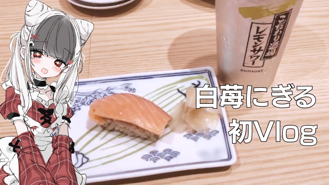 【初Vlog】こんにちは人間さん、人間さんもこんにちは【ひきこもり】 #vlog #飲み歩き #実家暮らし 