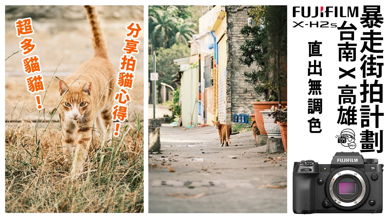 帶著Fujifilm X-H2s漫遊台南高雄：用XF18-120mm F4變焦鏡頭捕捉街貓的美麗時光｜全片直出無調色｜全新AF Tracking系統【暴走台灣街拍計劃】