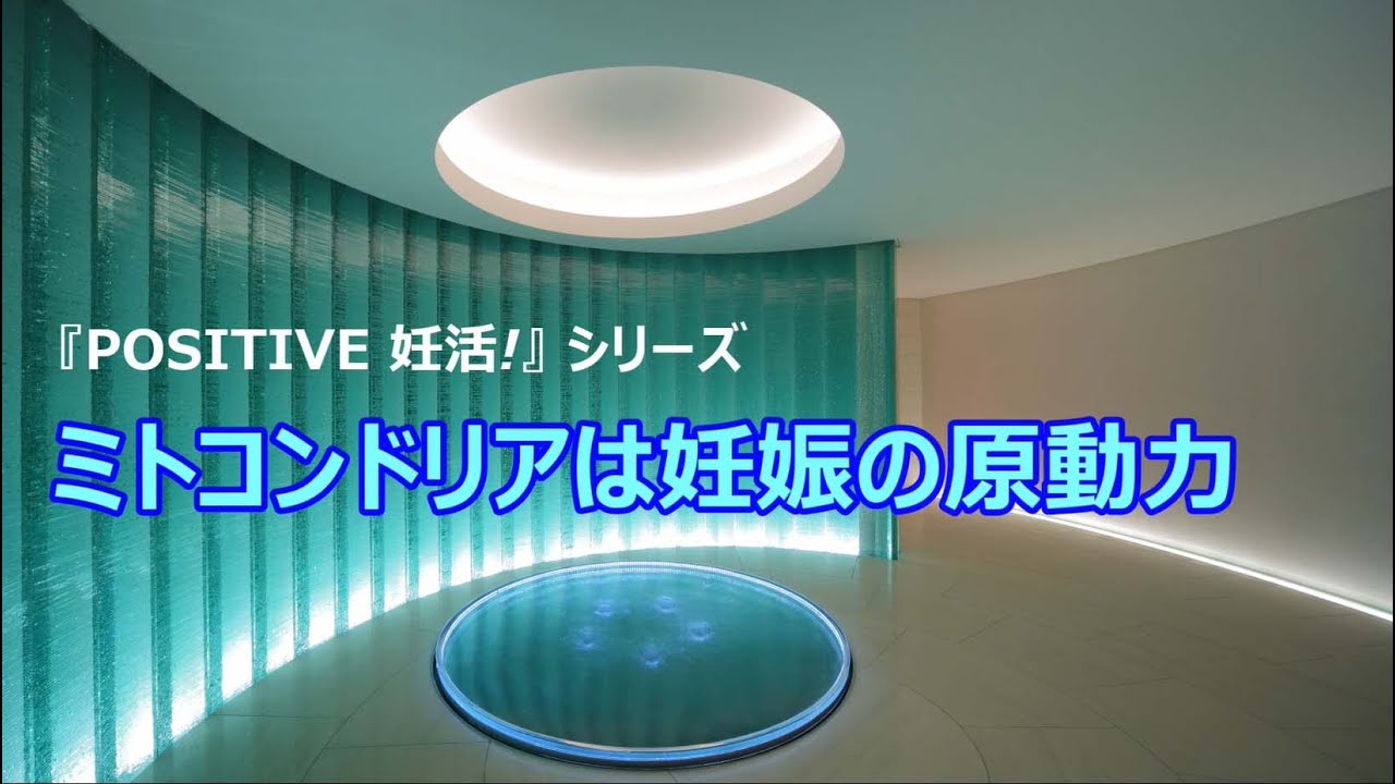 ミトコンドリアは妊娠の原動力　『POSITIVE 妊活！』シリーズ 　HORACグランフロント大阪クリニック