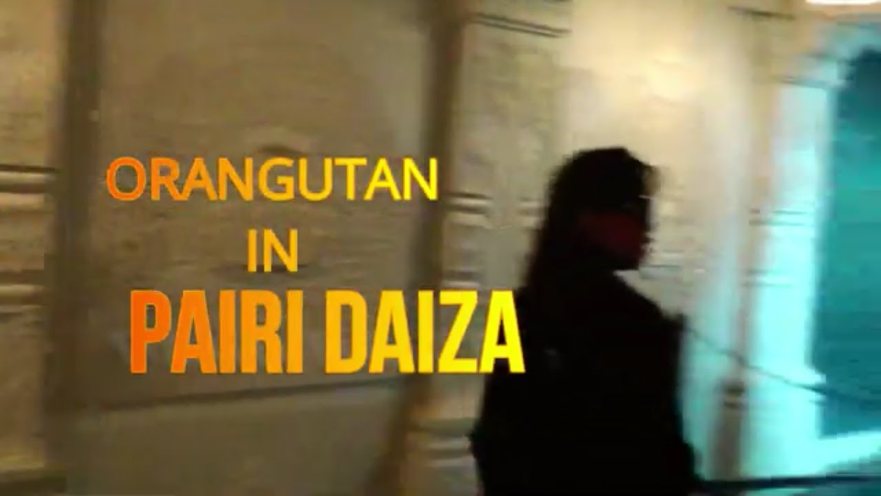 ORANGUTAN IN PAIRI DAIZA