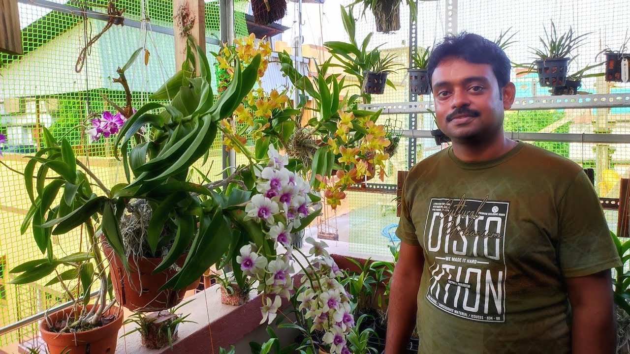বরানগরের মনোজি‍ৎ দার অর্কিড বাগান ঠিক যেনো একটুকরো দার্জিলিং || Beautiful Orchid garden Kolkata ||
