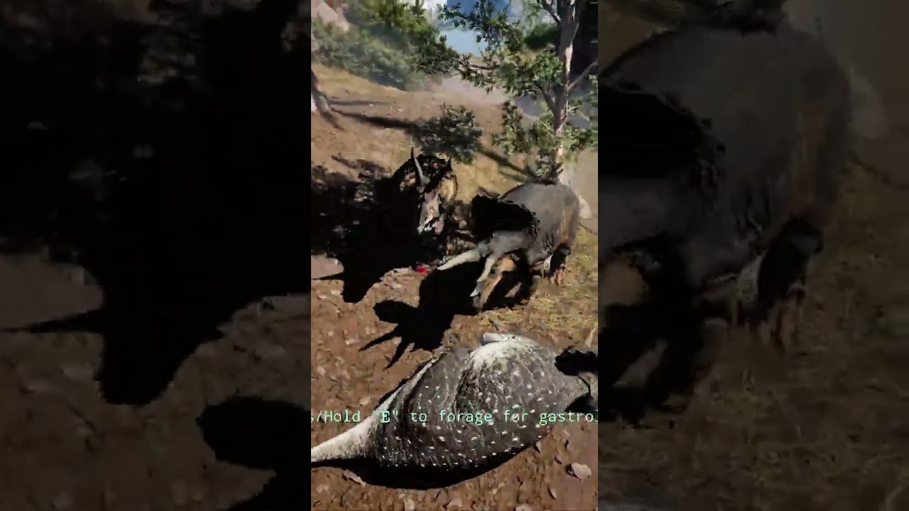 Косеры у*бки! | #saitzluiz #theisle #dinosaur #theislegame #dino #dinosaurs #prehistoric #trex
