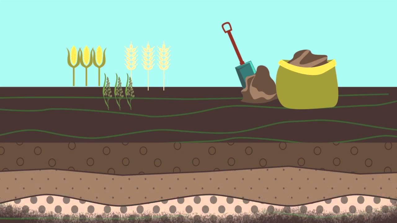 Good Agricultural Practices: What to Look for During Your on Farm Visit