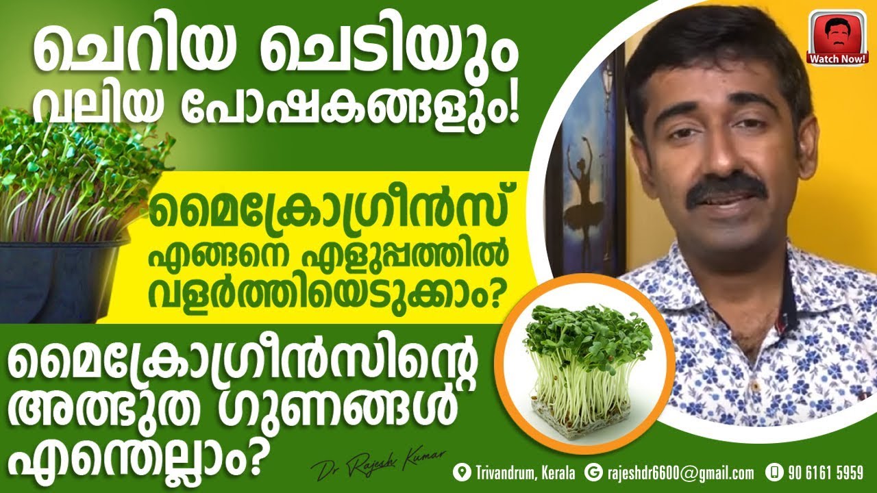 ചെറിയ ചെടിയും വലിയ പോഷകങ്ങളും.. മൈക്രോ ഗ്രീൻസിന്റെ അത്ഭുതഗുണങ്ങൾ എന്തെല്ലാം ?