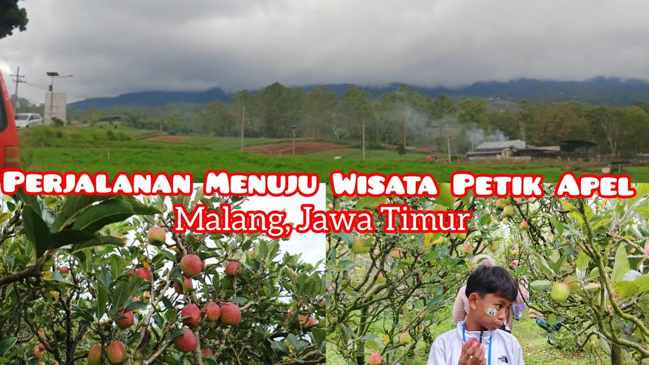 UPDATE TERBARU 💕 PERJALANAN KE WISATA PETIK APEL 💕MALANG,  JAWA TIMUR 