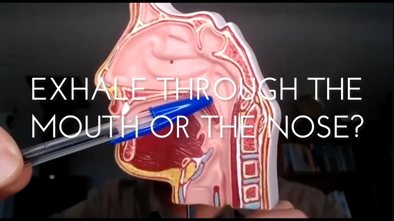 Should We Exhale through the Nose or the Mouth?