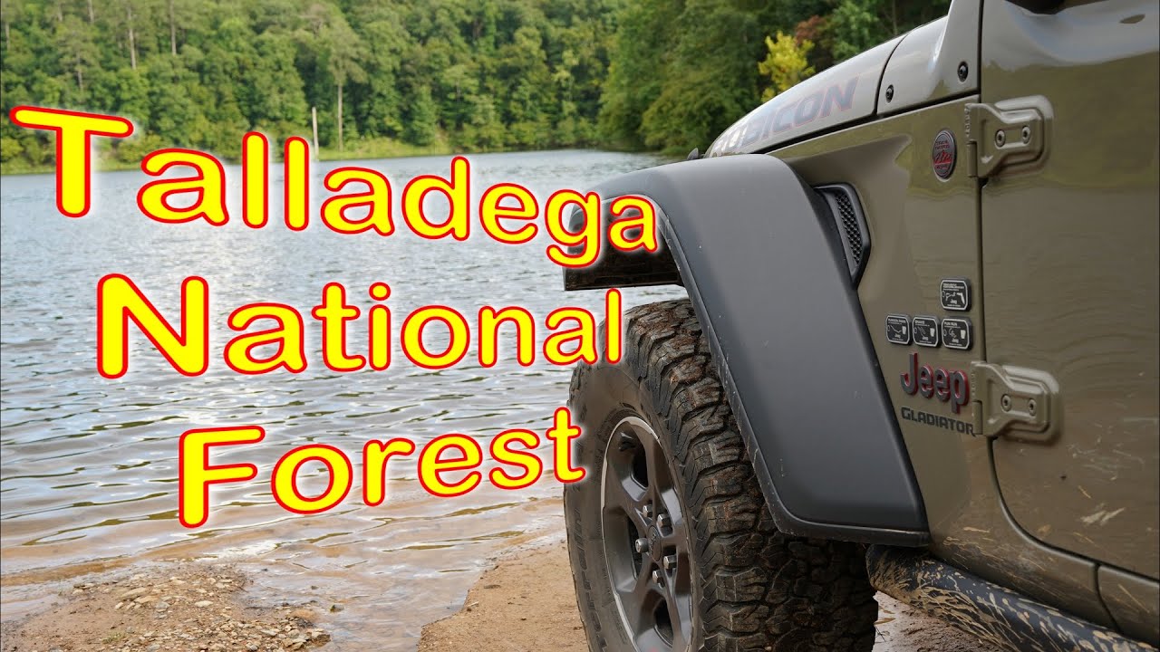 Exploring Talladega National Forest