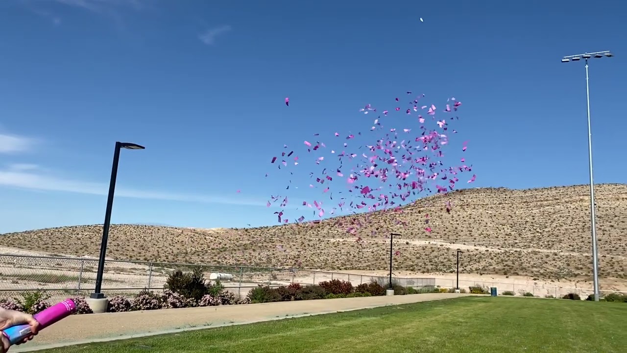Gender Reveal Confetti Cannon - Pink