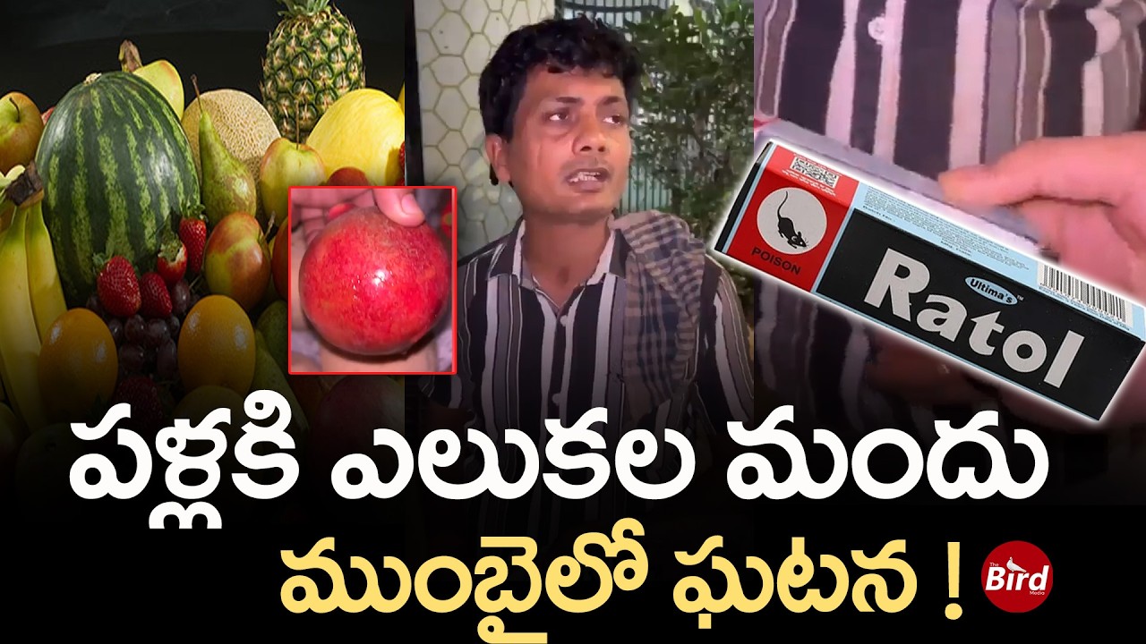 పళ్లకి ఎలుకల మందు.. ముంబైలో ఘటన ! | Mumbai Fruit Vendor Arrested for Applying Rat Poison on Bananas!