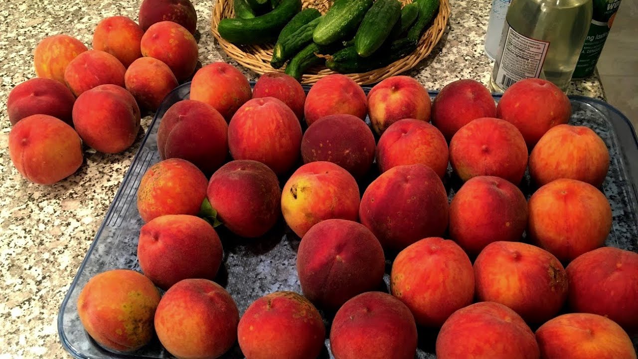 Common Problems when Growing Peaches
