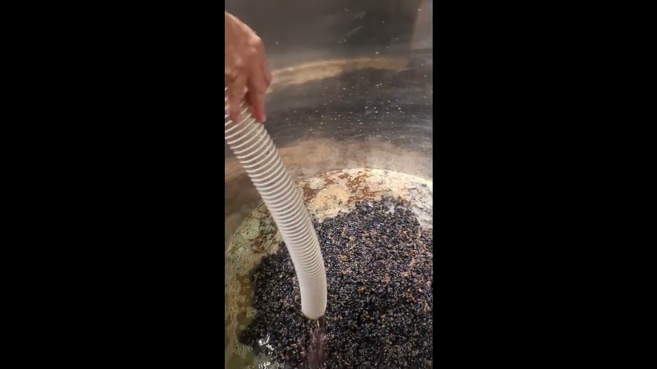 Как да си направим червено вино