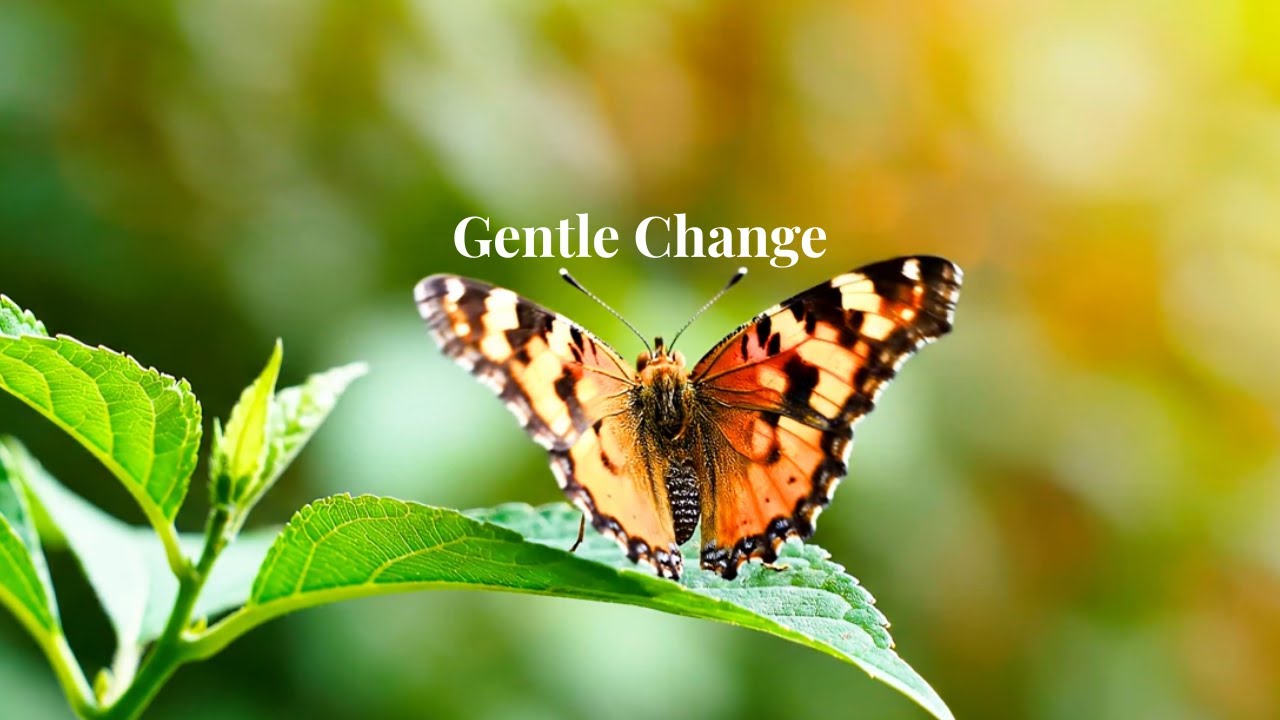 Butterfly Calm | Gentle Morning Ambient Music for a Peaceful Start