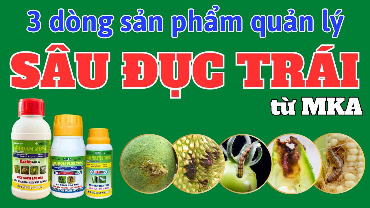 3 dòng quản lý SÂU ĐỤC TRÁI từ MKA | Chlorantraniliprole, Carbosulfan, Lambda-cyhalothrin, Emamectin
