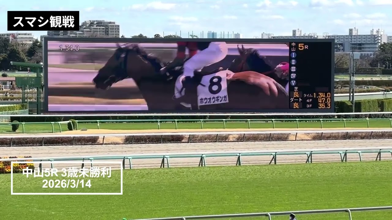 2026年3月14日 | 中山5R 3歳未勝利 | ホウオウギンガ | ヤマニンアレシス | マンサニージャ | 現地レース映像 | 中山競馬場 | スマシ観戦 | 芝1,600