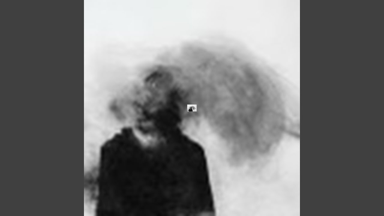 223
