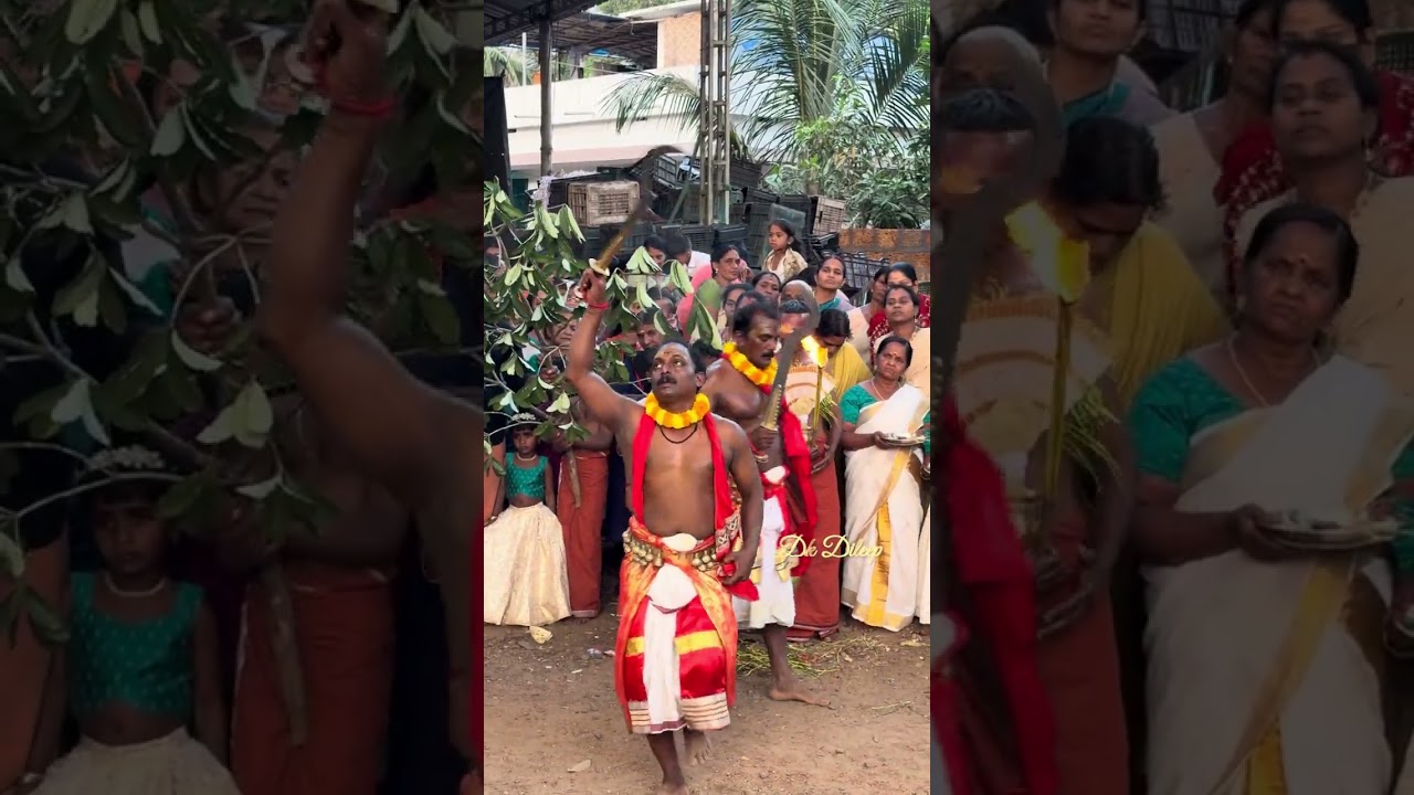 🪔 അയ്യപ്പൻ വിളക്ക്മഹോത്സവം ✨ 📍 അമ്മിനിക്കാട് മേക്കരവ്ശ്രീ ധർമശാസ്താ ക്ഷേത്രം🙏