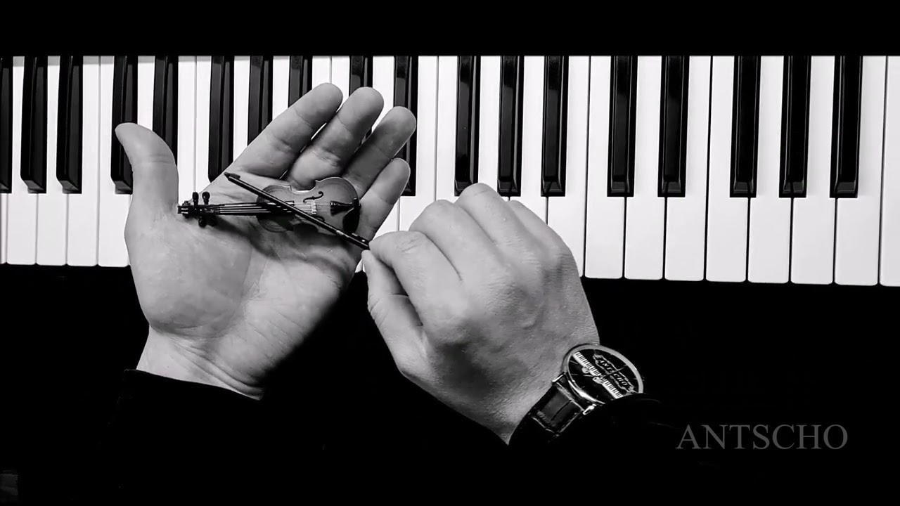 The Land of Confident [Official Video] ANTSCHO