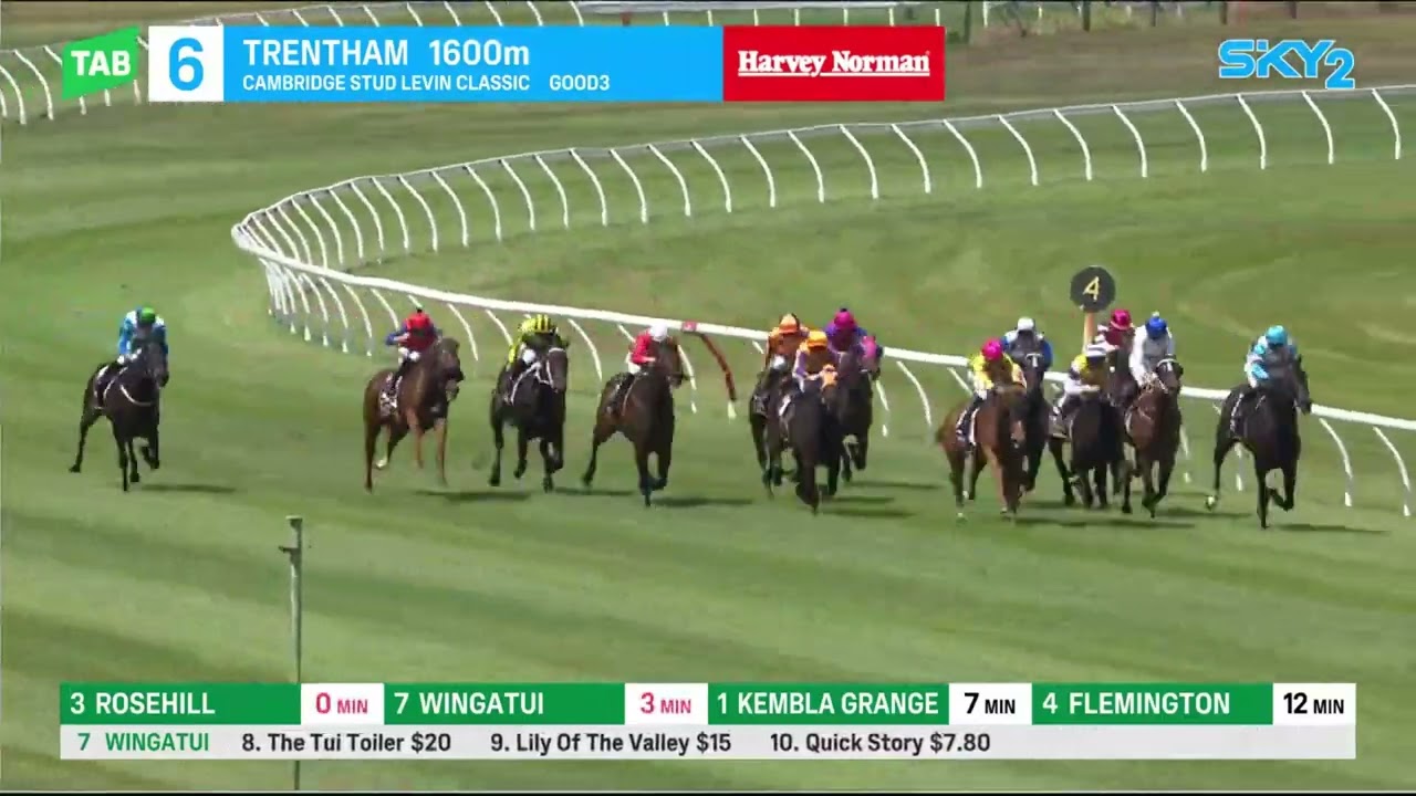 QUINTESSA - Levin Classic 2024 (3-летние, G1), Группа 1, Трентам, Новая Зеландия, 13 января